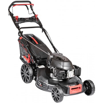 Kosiarka spalinowa Cedrus...