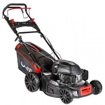 Kosiarka spalinowa Cedrus...