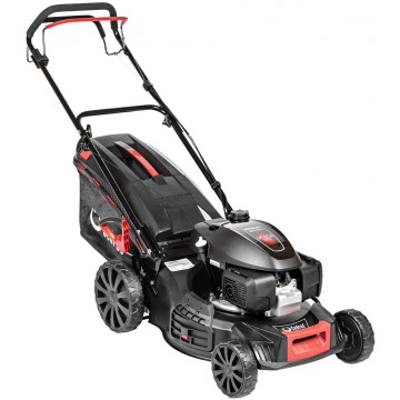 Kosiarka spalinowa Cedrus...